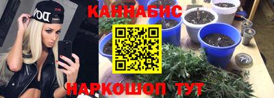 скорость Бийск