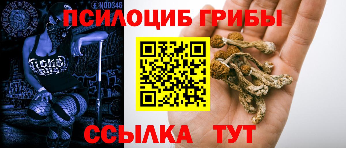 Гулькевичи  Галлюциногенные грибы прущие грибы  Галлюциногенные грибы MAGIC MUSHROOMS  Вход с VPN 
