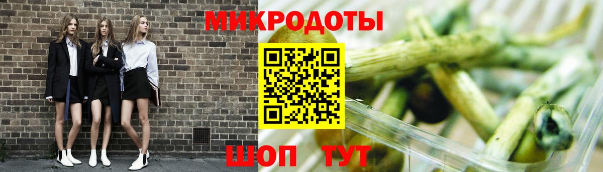 Галлюциногенные грибы Psilocybe Гулькевичи